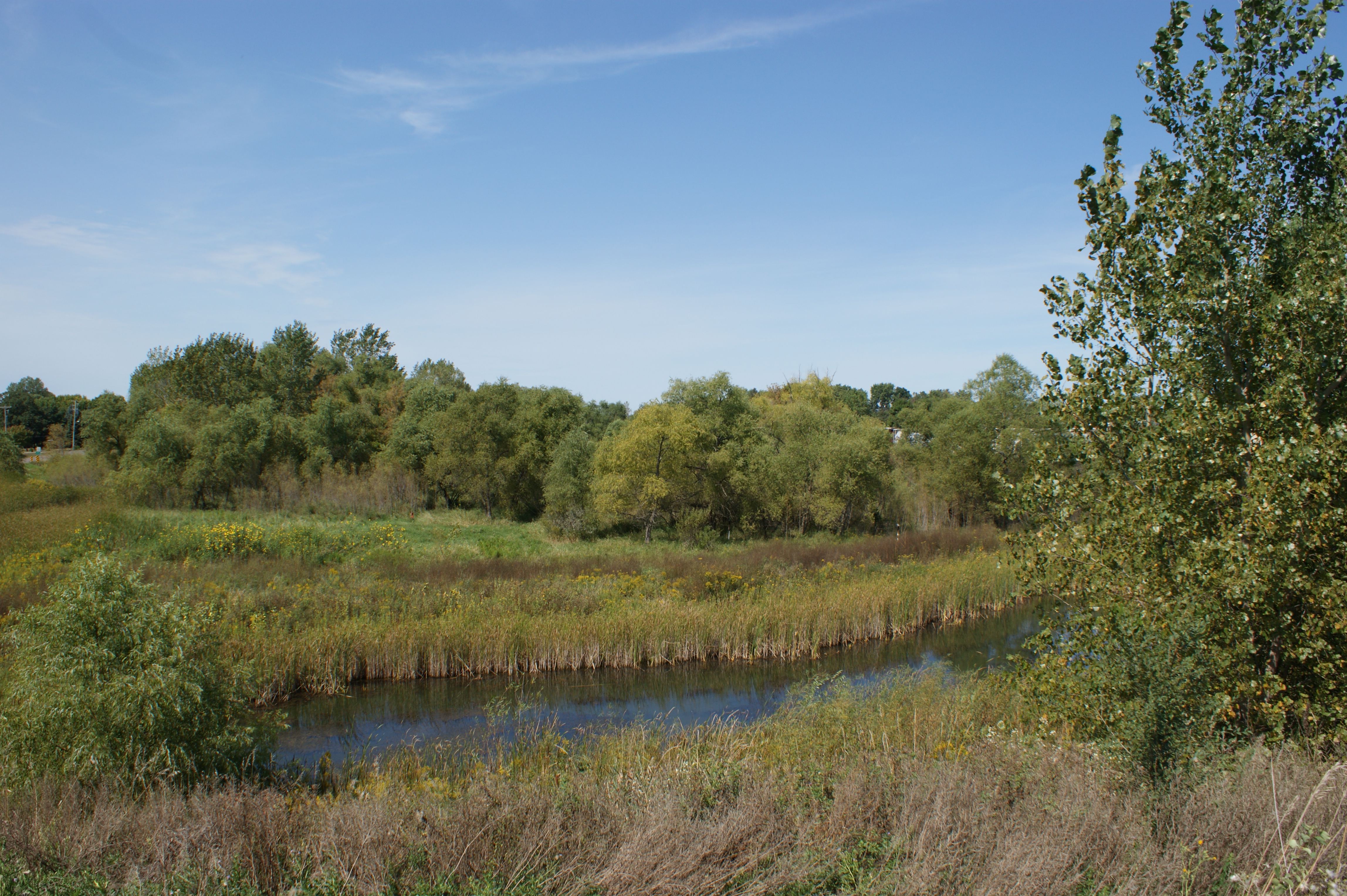 Rainwater Nature Area5.JPG